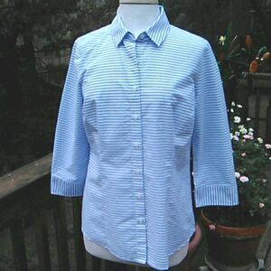 Van Heusen Striped Button Down Shirt